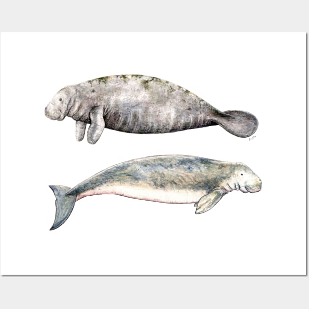 Sea cows: manatee and dugong Wall Art by chloeyzoard